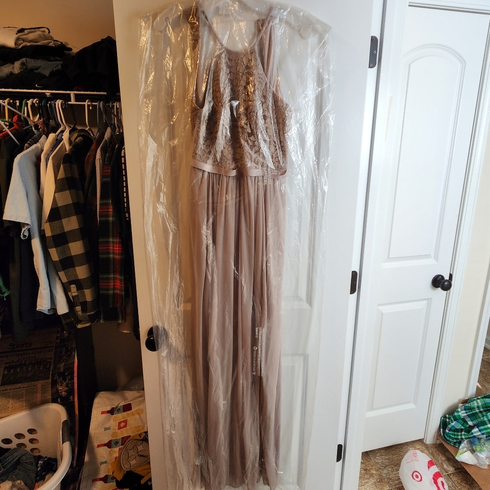 David’s Bridal Biscotti Open back lace and mesh bridesmaid dress - Picture 2 of 4